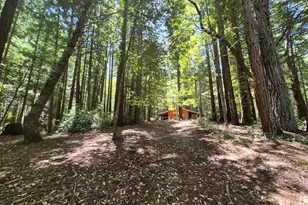 11903 Branscomb Rd, Branscomb, CA 95417 - Photo 22