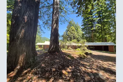 11903 Branscomb Road, Branscomb, CA 95417 - Photo 8