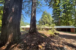 11903 Branscomb Rd, Branscomb, CA 95417 - Photo 8