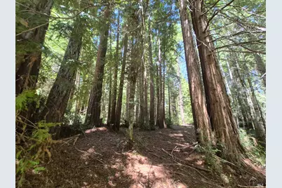 11903 Branscomb Road, Branscomb, CA 95417 - Photo 72