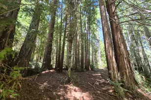 11903 Branscomb Rd, Branscomb, CA 95417 - Photo 72