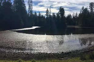 31010 Stewarts Point-Skaggs Springs Rd, Stewarts Point, CA 95497 - Photo 54