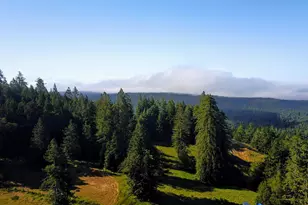 31010 Stewarts Point-Skaggs Springs Rd, Stewarts Point, CA 95497 - Photo 34