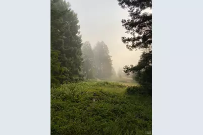 31010 Stewarts Point-Skaggs Springs Road, Stewarts Point, CA 95497 - Photo 66