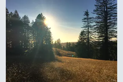 31010 Stewarts Point-Skaggs Springs Road, Stewarts Point, CA 95497 - Photo 50