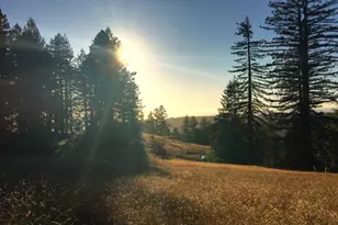 31010 Stewarts Point-Skaggs Springs Rd, Stewarts Point, CA 95497 - Photo 50