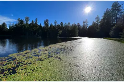 31010 Stewarts Point-Skaggs Springs Road, Stewarts Point, CA 95497 - Photo 20