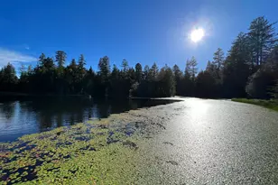 31010 Stewarts Point-Skaggs Springs Rd, Stewarts Point, CA 95497 - Photo 20