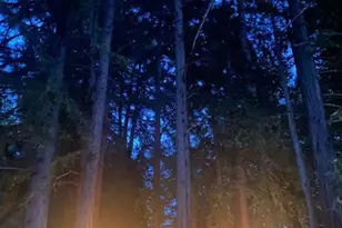 31010 Stewarts Point-Skaggs Springs Rd, Stewarts Point, CA 95497 - Photo 70