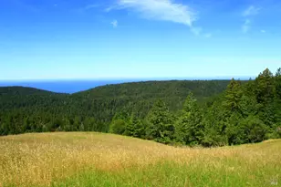 31010 Stewarts Point-Skaggs Springs Rd, Stewarts Point, CA 95497 - Photo 6