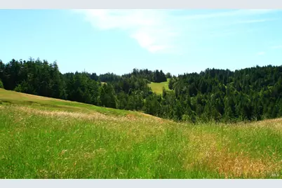 31010 Stewarts Point-Skaggs Springs Road, Stewarts Point, CA 95497 - Photo 8