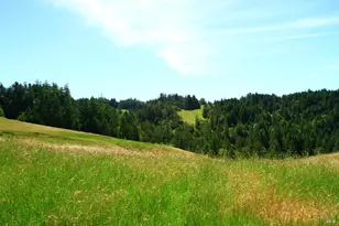 31010 Stewarts Point-Skaggs Springs Rd, Stewarts Point, CA 95497 - Photo 8