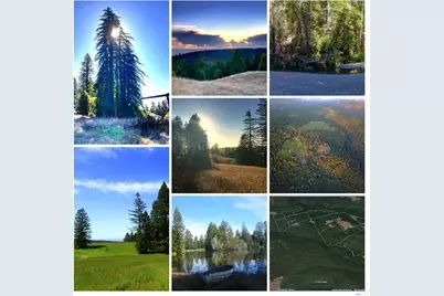 31010 Stewarts Point-Skaggs Springs Road, Stewarts Point, CA 95497 - Photo 42