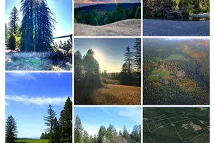 31010 Stewarts Point-Skaggs Springs Rd, Stewarts Point, CA 95497 - Photo 42