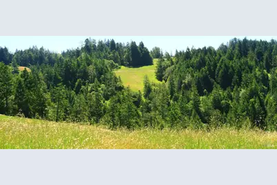 31010 Stewarts Point-Skaggs Springs Road, Stewarts Point, CA 95497 - Photo 10