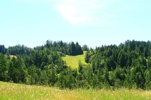 31010 Stewarts Point-Skaggs Springs Rd, Stewarts Point, CA 95497 - Photo 10