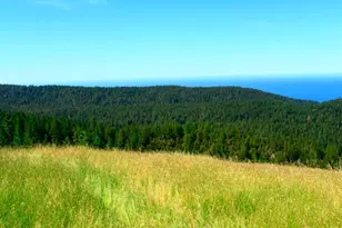 31010 Stewarts Point-Skaggs Springs Rd, Stewarts Point, CA 95497 - Photo 24