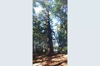 31010 Stewarts Point-Skaggs Springs Road, Stewarts Point, CA 95497 - Photo 48