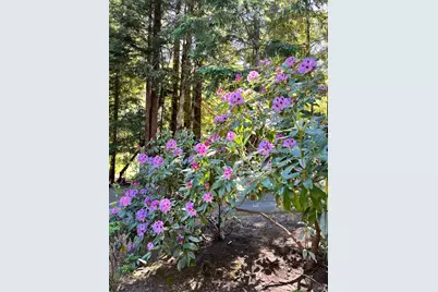 45270 Ocean View Lane, Gualala, CA 95445 - Photo 36