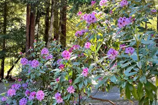 45270 Ocean View Ln, Gualala, CA 95445 - Photo 36