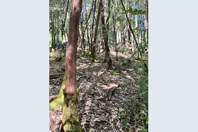 25143 Blue Jay Place, Willits, CA 95490 - Photo 4