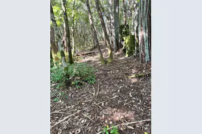 25143 Blue Jay Place, Willits, CA 95490 - Photo 6