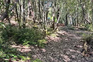 25143 Blue Jay Pl, Willits, CA 95490 - Photo 1