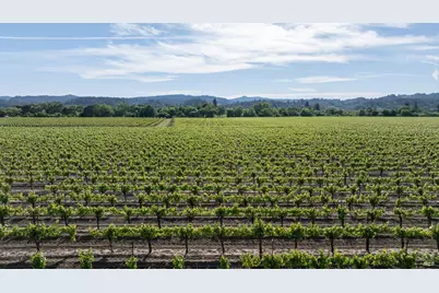 374 Kinley Drive, Healdsburg, CA 95448 - Photo 1