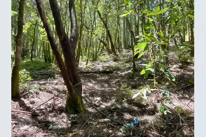 24121 Lilac Road, Willits, CA 95490 - Photo 8