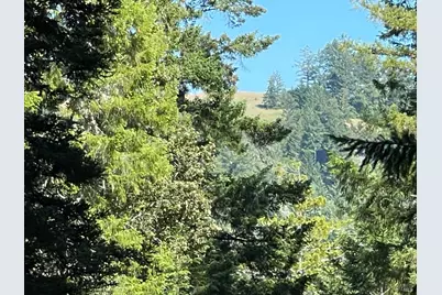 35905 Hauser Bridge Road #J, Cazadero, CA 95421 - Photo 8