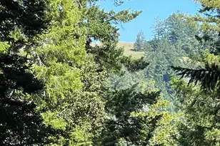 35905 Hauser Bridge Rd, Cazadero, CA 95421 - Photo 8