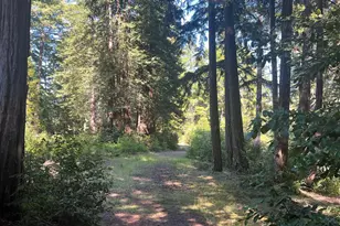 35905 Hauser Bridge Rd, Cazadero, CA 95421 - Photo 30