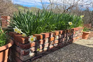 18683 Morgan Valley Rd, Lower Lake, CA 95457 - Photo 28