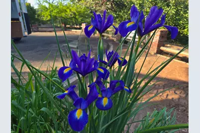 18683 Morgan Valley Road, Lower Lake, CA 95457 - Photo 30