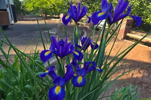 18683 Morgan Valley Rd, Lower Lake, CA 95457 - Photo 30