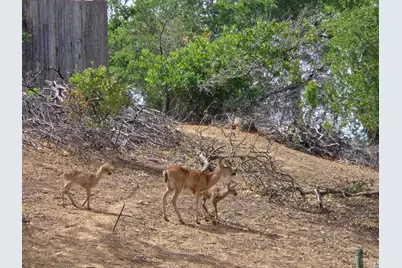 18683 Morgan Valley Road, Lower Lake, CA 95457 - Photo 26