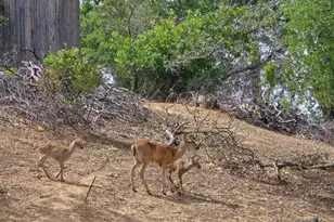 18683 Morgan Valley Rd, Lower Lake, CA 95457 - Photo 26
