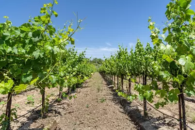 1580 Magnolia Drive, Healdsburg, CA 95448 - Photo 14