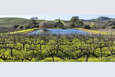 1289 Duhig Road, Napa, CA 94559 - Photo 60