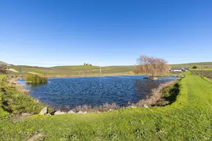 1289 Duhig Rd, Napa, CA 94559 - Photo 64