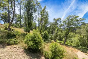 10800 Falstaff Rd, Sebastopol, CA 95472 - Photo 48
