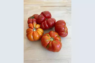 2400 Nelligan Road, Glen Ellen, CA 95442 - Photo 74