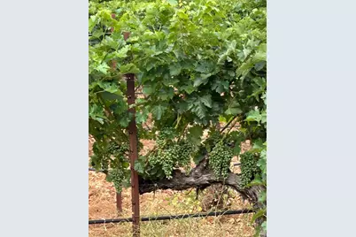 2400 Nelligan Road, Glen Ellen, CA 95442 - Photo 64