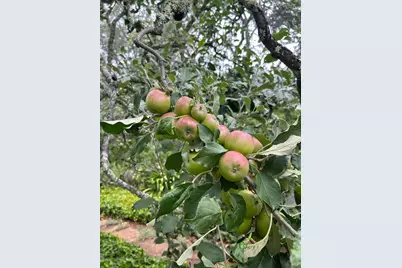 2400 Nelligan Road, Glen Ellen, CA 95442 - Photo 48