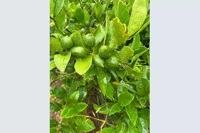 2400 Nelligan Road, Glen Ellen, CA 95442 - Photo 56