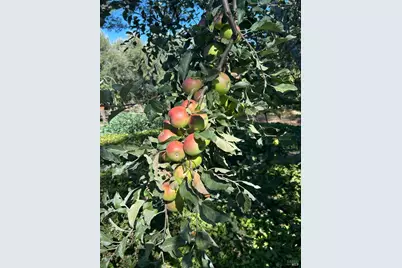 2400 Nelligan Road, Glen Ellen, CA 95442 - Photo 68