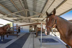 3777 Vineyard Rd, Novato, CA 94947 - Photo 22