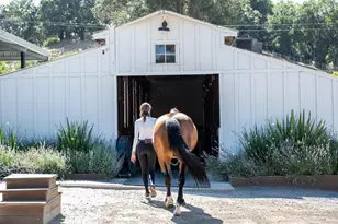 3777 Vineyard Rd, Novato, CA 94947 - Photo 4