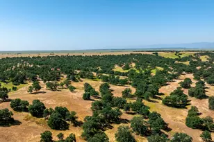 18045 Red Bank Rd, Red Bluff, CA 96080 - Photo 22