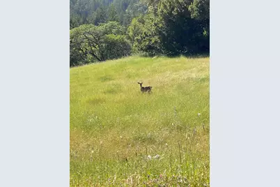 38555 Hauser Bridge Road, Cazadero, CA 95421 - Photo 74